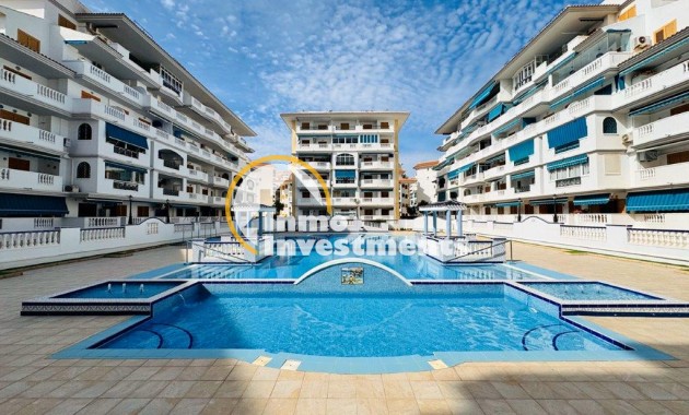 Apartamento -  - La Mata - La Mata