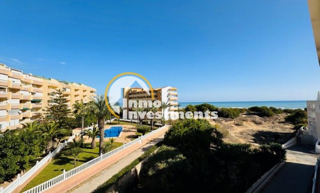 Apartamento -  - La Mata - La Mata