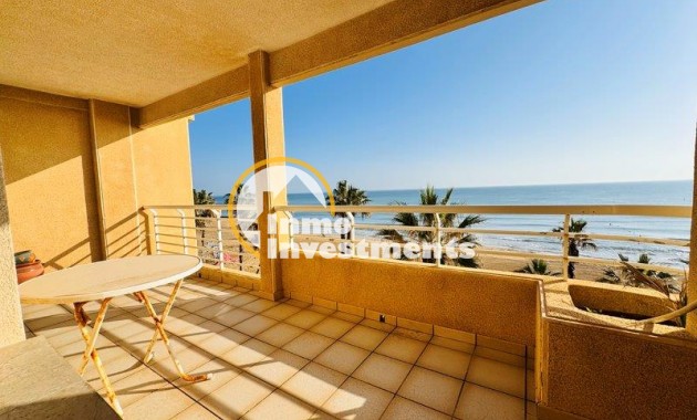 Apartamento -  - La Mata - La Mata