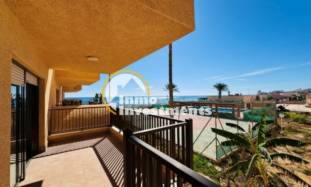 Apartamento -  - La Mata - La Mata