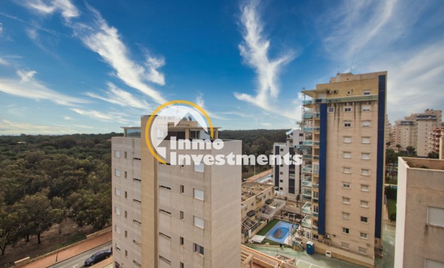 Apartamento - Reventa - Guardamar del Segura - 8044