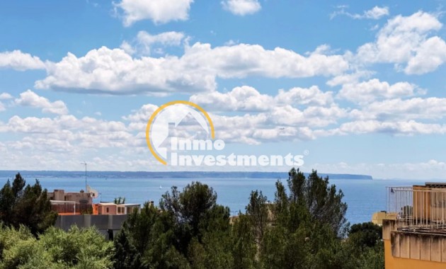 Apartamento - Reventa - Palma - 98972