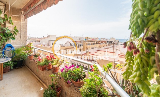 Apartamento - Reventa - Torrevieja - Curva Del Palangre