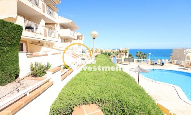Apartment - Gebrauchtimmobilien - Cabo Roig - Aguamarina