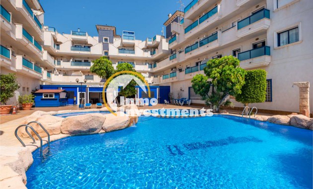Apartment - Gebrauchtimmobilien - Cabo Roig - Cabo Roig
