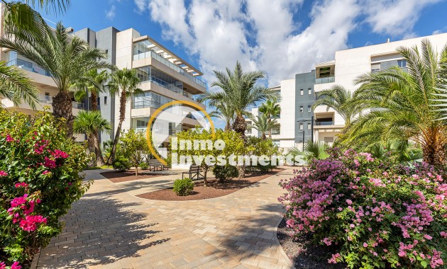 Apartment - Gebrauchtimmobilien - Los Dolses - Los Dolses