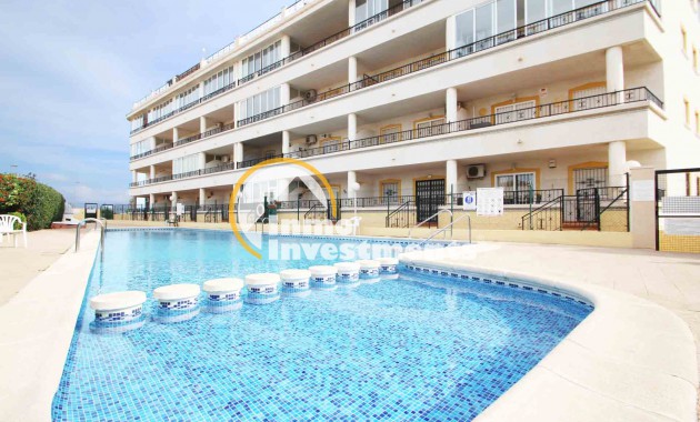 Apartment - Gebrauchtimmobilien - Playa Flamenca - Playa Flamenca