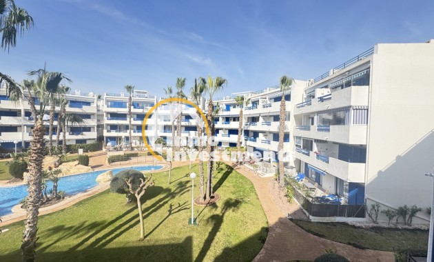 Apartment - Gebrauchtimmobilien - Playa Flamenca - Playa Flamenca