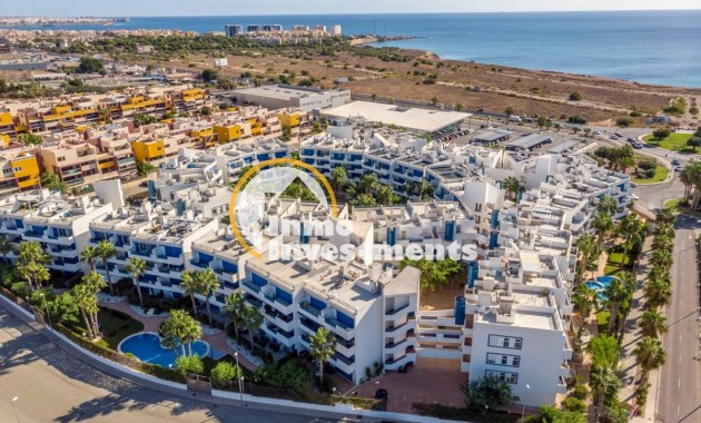Apartment - Gebrauchtimmobilien - Playa Flamenca - Playa Flamenca