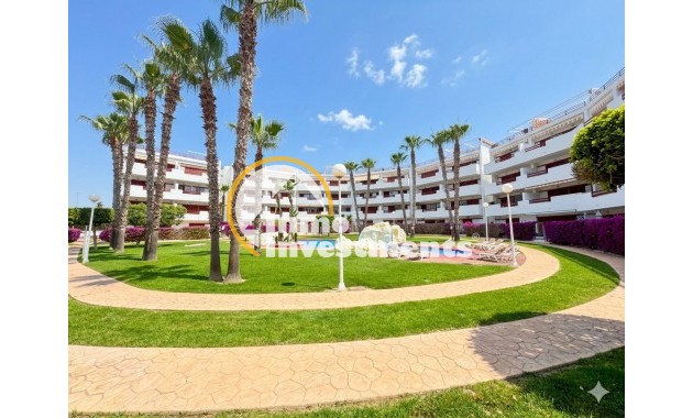 Apartment - Gebrauchtimmobilien - Playa Flamenca - Playa Flamenca