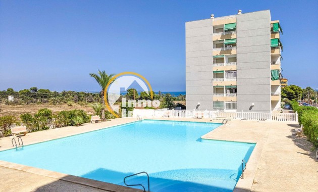 Apartment - Gebrauchtimmobilien - Punta Prima - 10331