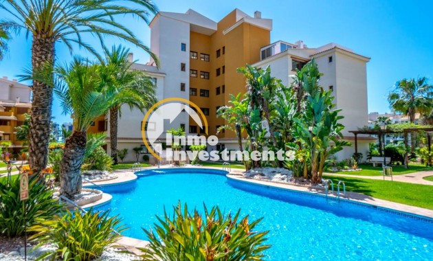 Apartment - Gebrauchtimmobilien - Punta Prima - 12365