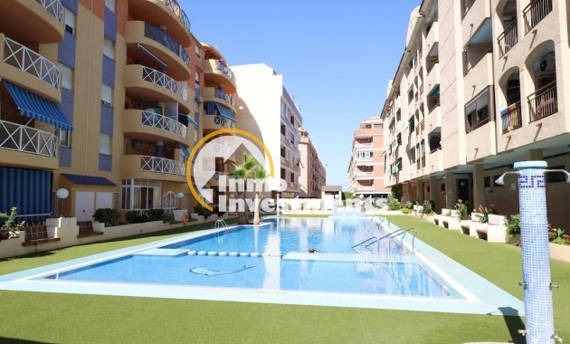 Apartment - Gebrauchtimmobilien - Torrevieja - Torrevieja Zentrum