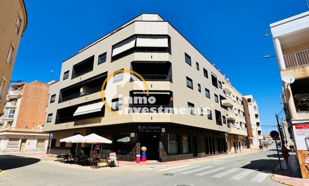 Appartement -  - La Mata - La Mata