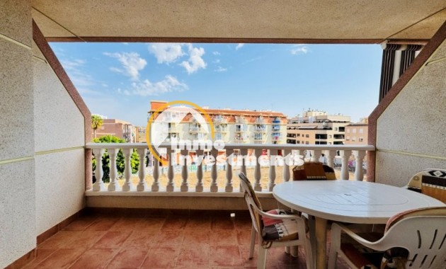 Appartement -  - La Mata - La Mata