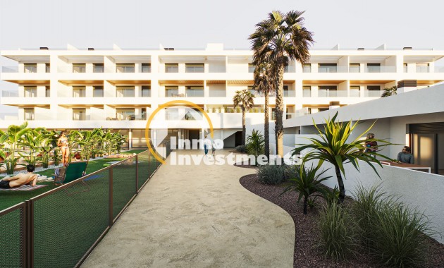 Ático - Obra nueva - Torrevieja - Torrevieja