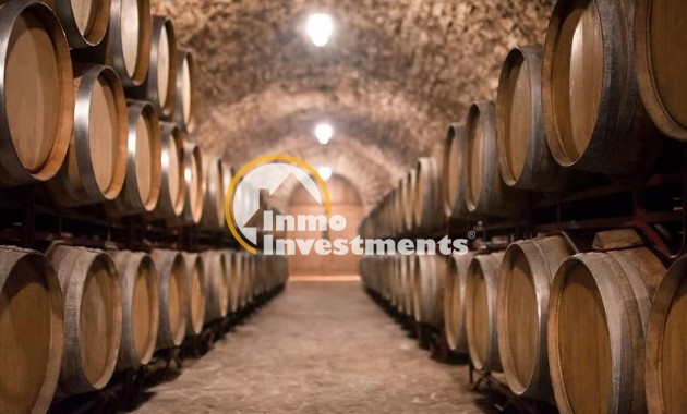 Cellar - Gebrauchtimmobilien - Albacete - 60700