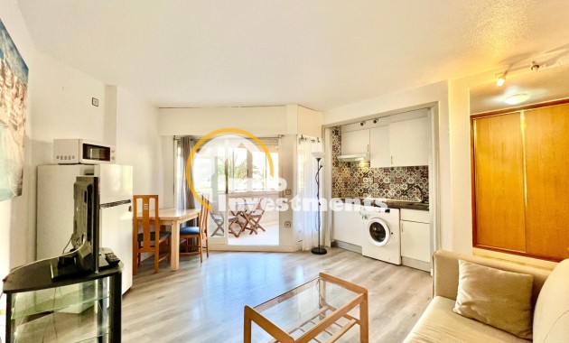 Estudio - Reventa - Torrevieja - Habaneras