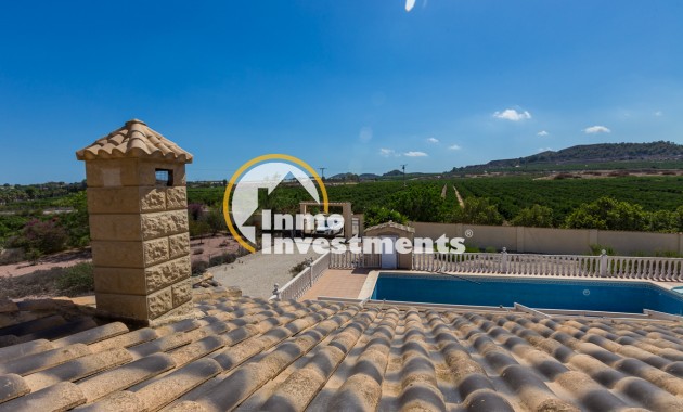 Finca - Reventa - Jacarilla - 11285