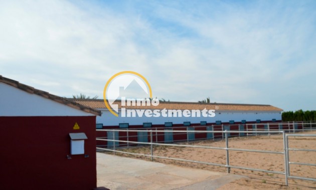 Parcela - Reventa - San Miguel de Salinas - 13477