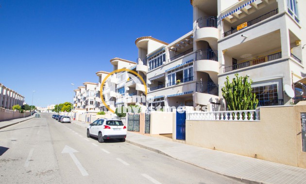 Penthouse - Revente privée - Punta Prima - 4063