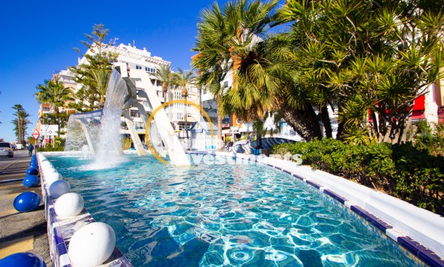  - Reventa - Torrevieja - Playas