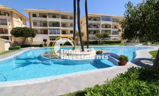 Studio - Gebrauchtimmobilien - La Mata - 13348