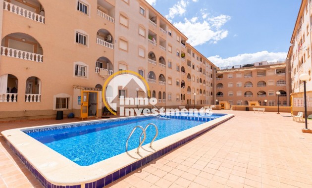 Studio - Gebrauchtimmobilien - Torrevieja - Estacion de autobuses