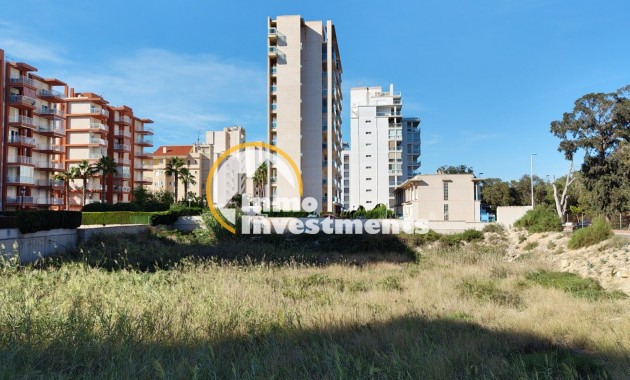 Terrain - Revente privée - Guardamar del Segura - Avenida del Puerto