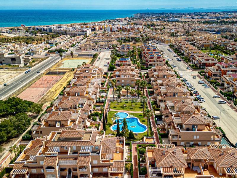 The complete guide for Zeniamar in Playa Flamenca