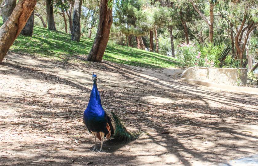 Explore Reina Sofia park in Guardamar del Segura