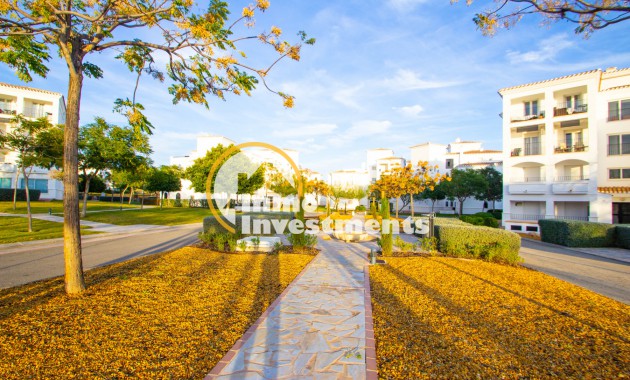 Förvaltningsfastigheter - Lägenhet - Sucina - Hacienda Riquelme Golf