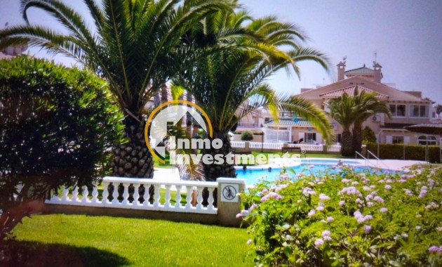 Gebrauchtimmobilien - Apartment - Playa Flamenca - Zenia Mar
