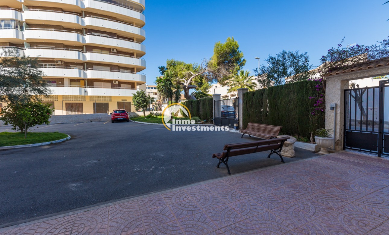 Gebrauchtimmobilien - Apartment - La Zenia - Strandseite