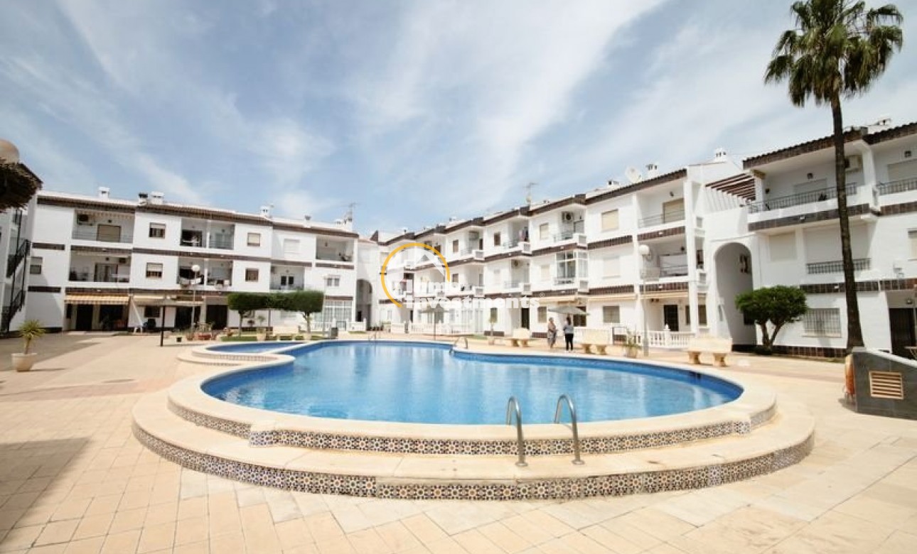 Resale - Apartment - Punta Prima - Beachside