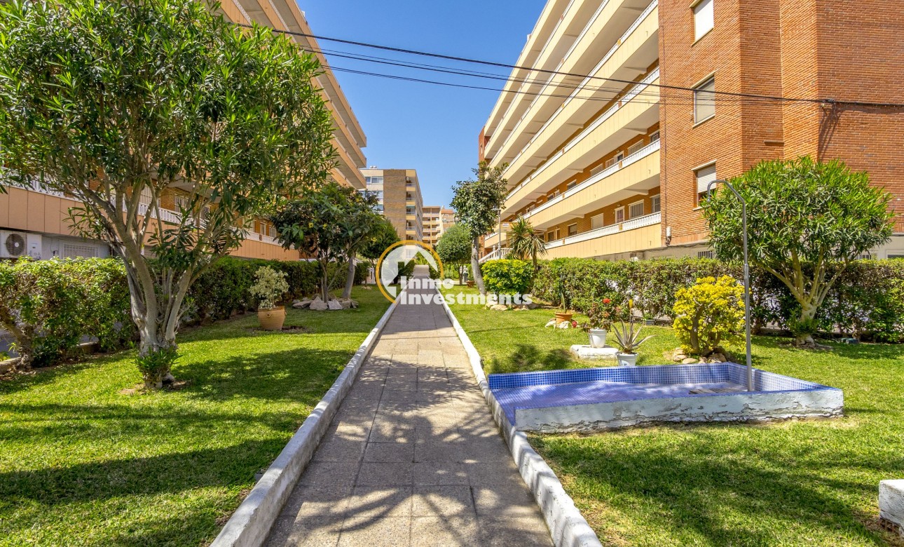 Reventa - Apartamento - Punta Prima