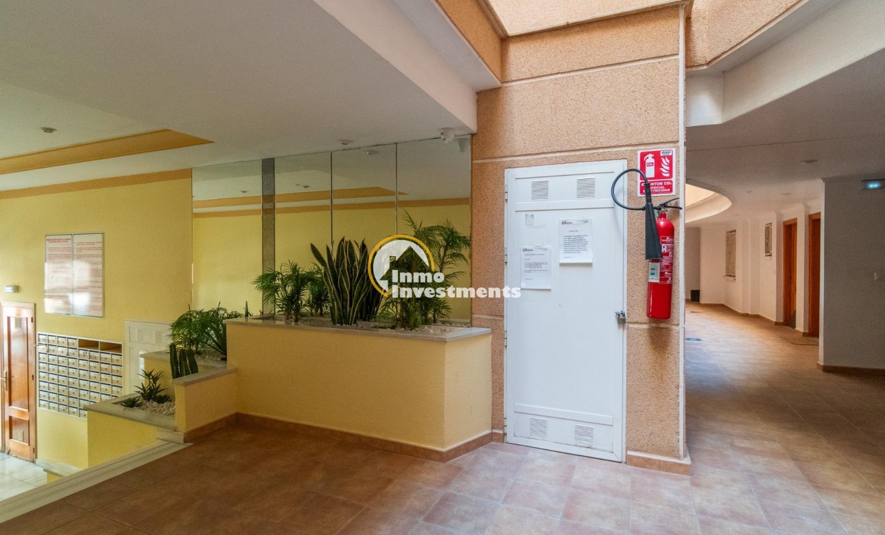 Gebrauchtimmobilien - Apartment - Torrevieja - Estacion de autobuses