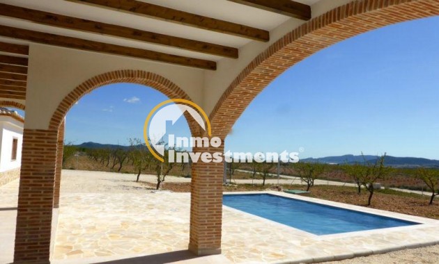 New build - Villa - Pinoso - Centro