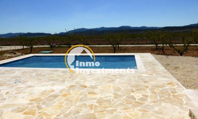 New build - Villa - Pinoso - Centro