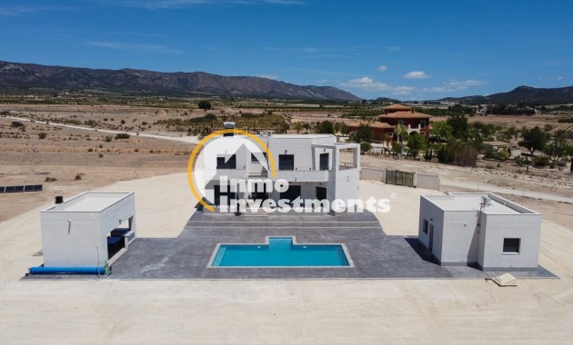 Neubau Immobilien - Villa - Pinoso - Camino Del Prado