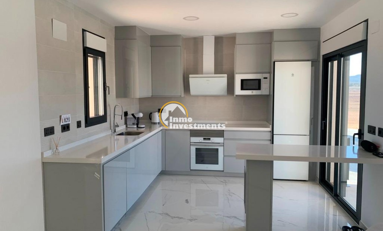 Neubau Immobilien - Villa - Pinoso - Camino Del Prado