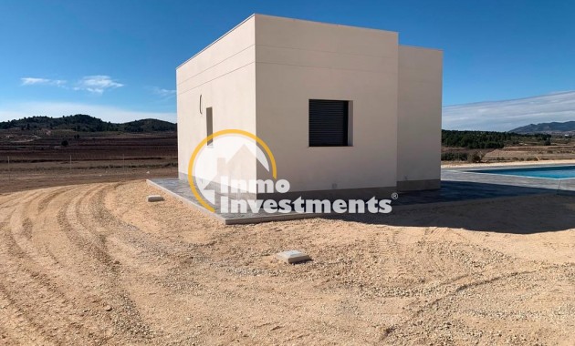 New build - Villa - Pinoso - Camino Del Prado