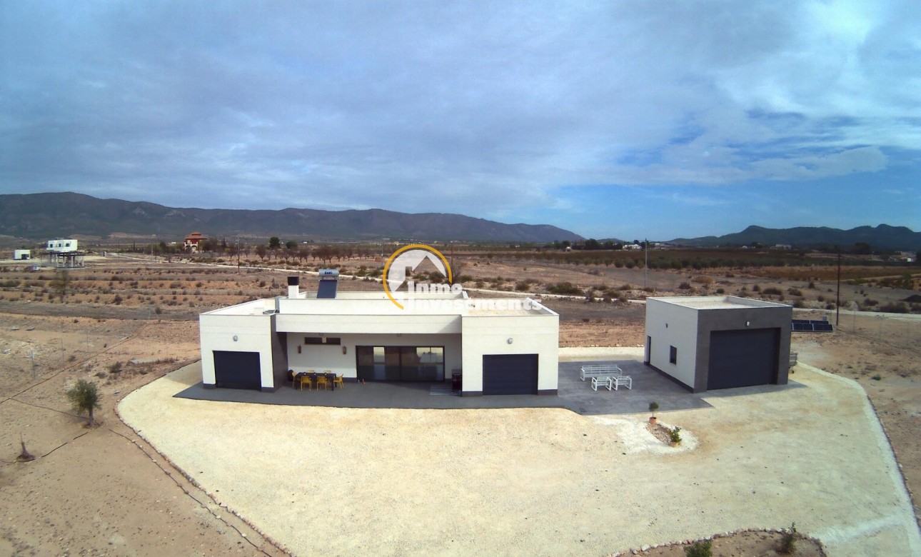 Nouvelle Construction - Villa - Pinoso - Camino Del Prado