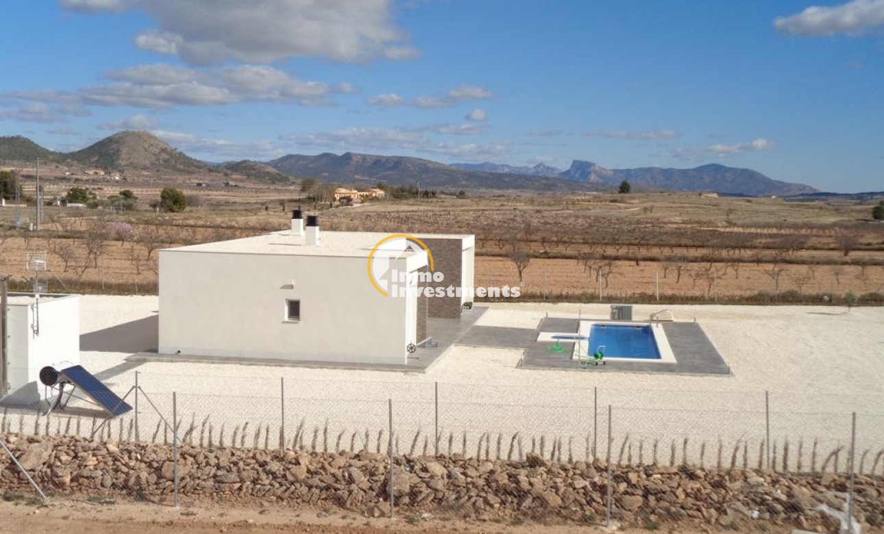 Neubau Immobilien - Villa - Pinoso - Camino Del Prado