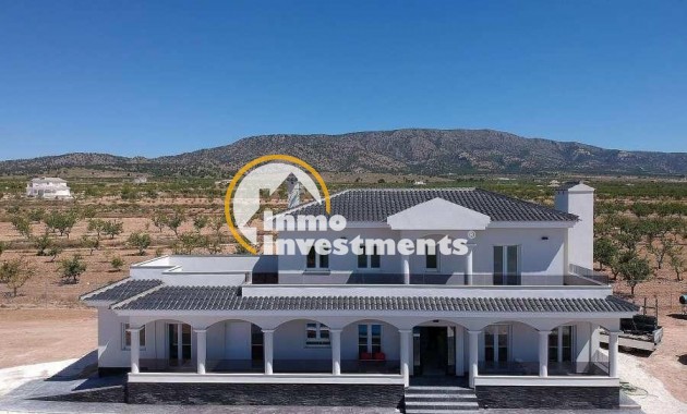 Neubau Immobilien - Villa - Pinoso - Camino Del Prado