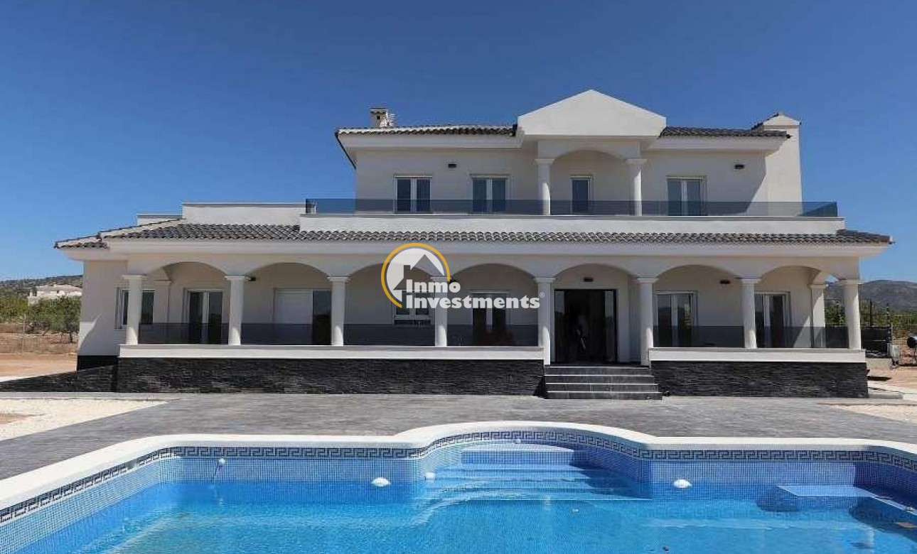 Neubau Immobilien - Villa - Pinoso - Camino Del Prado