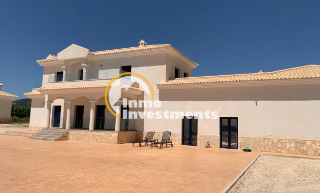 Neubau Immobilien - Villa - Pinoso - Camino Del Prado