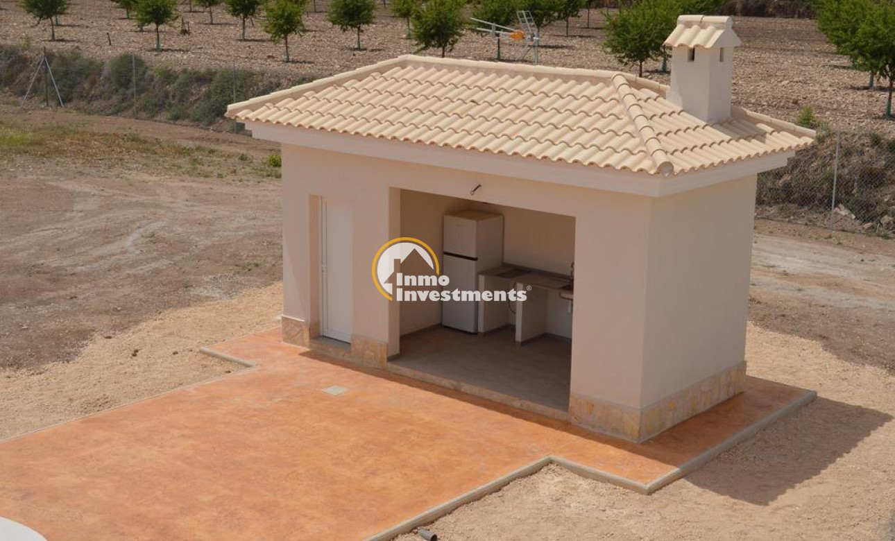 New build - Villa - Pinoso - Camino Del Prado