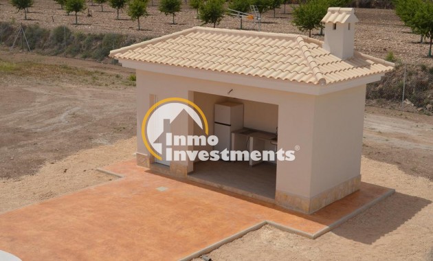 Nouvelle Construction - Villa - Pinoso - Camino Del Prado