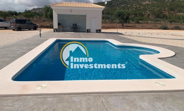 Neubau Immobilien - Villa - Pinoso - Camino Del Prado